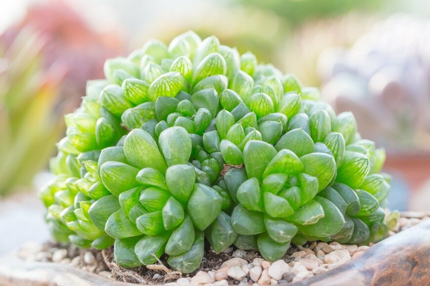 JIAN YI LIU/istockphoto.com