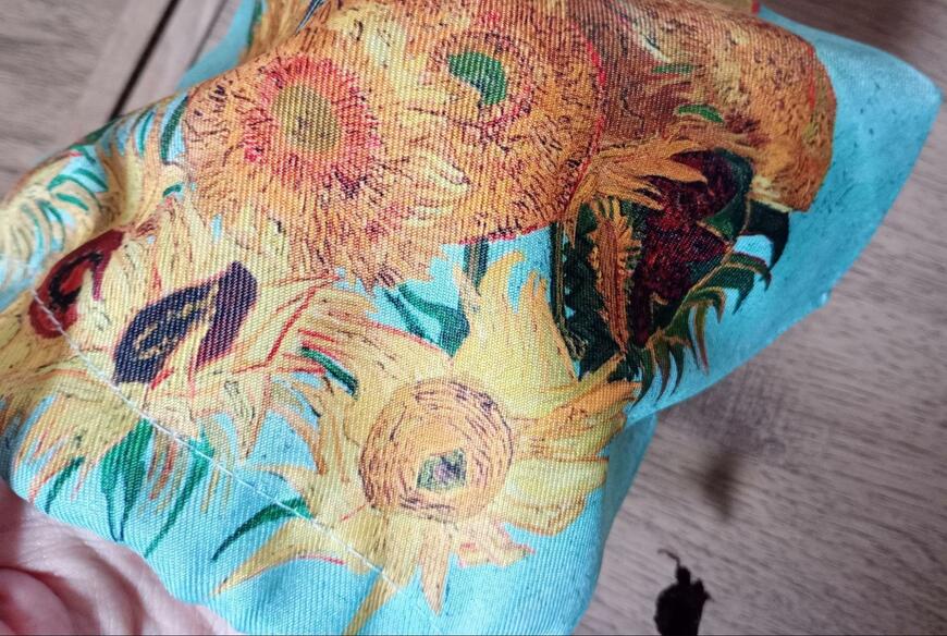 筆者撮影（セリア、ランチバッグ　VG）