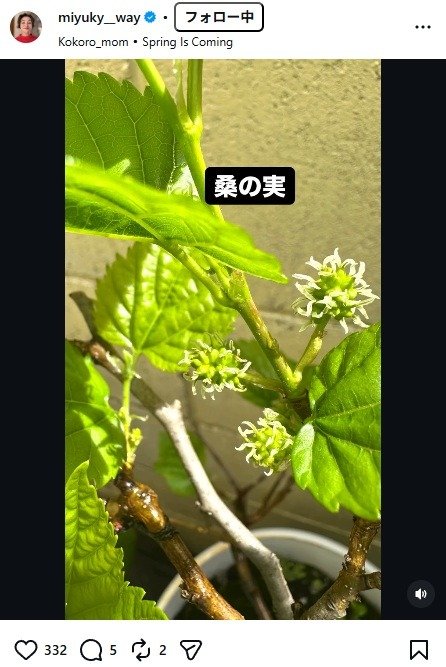 出所：香坂みゆきのInstagram（＠miyuky__way）　参照日：2026年4月13日