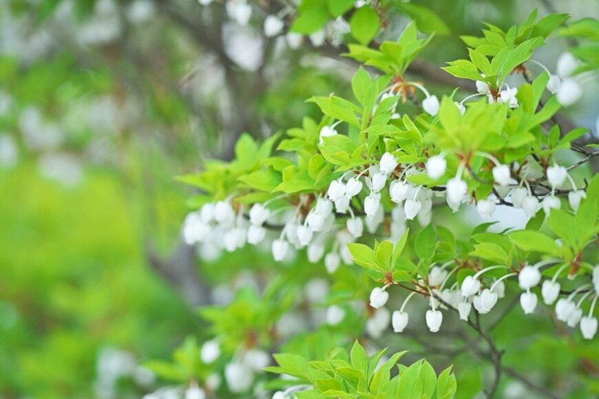 igaguri_1/istockphoto.com