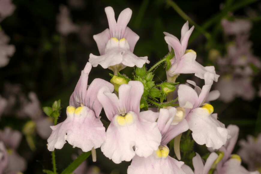 Gema Garcia Martin/shutterstock.com