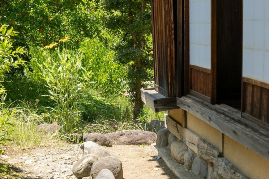 家の裏で「椎茸の原木」を放置していたら…　まさかの光景に「なかなかこうはならない」