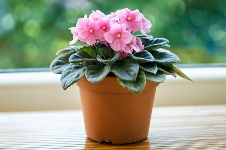 Robert_Horvat/istockphoto.com