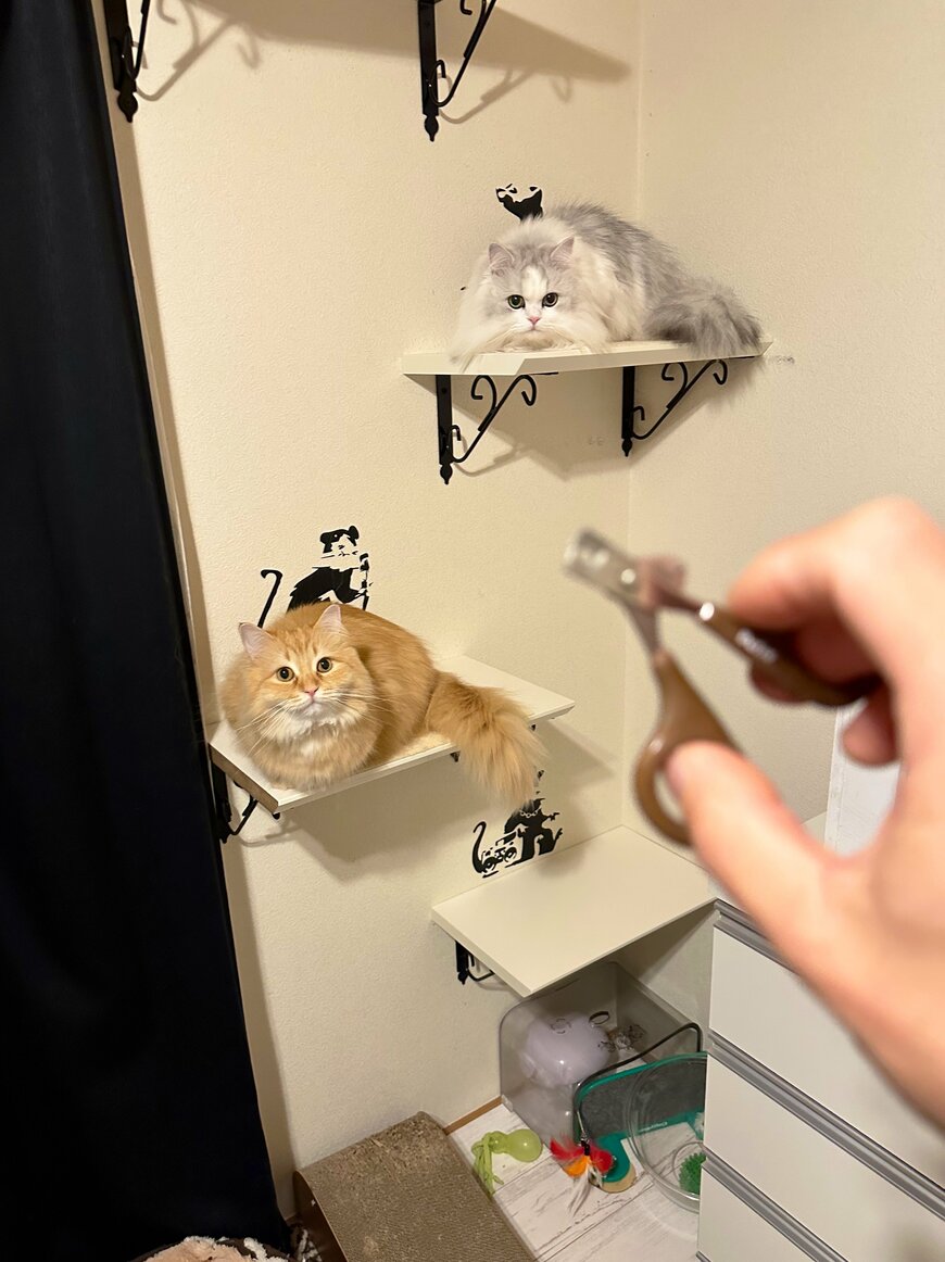 出所：@NEKOLAND13