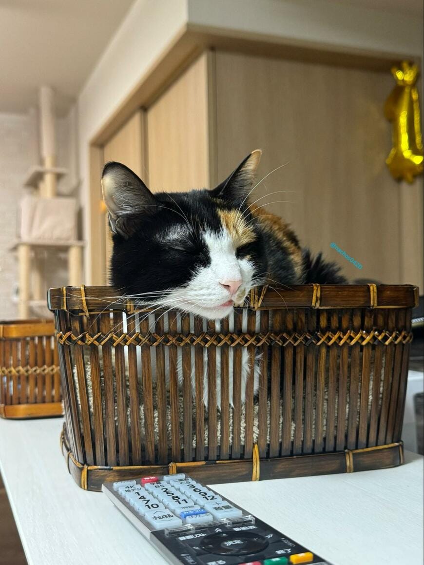 出所：@nachos0420