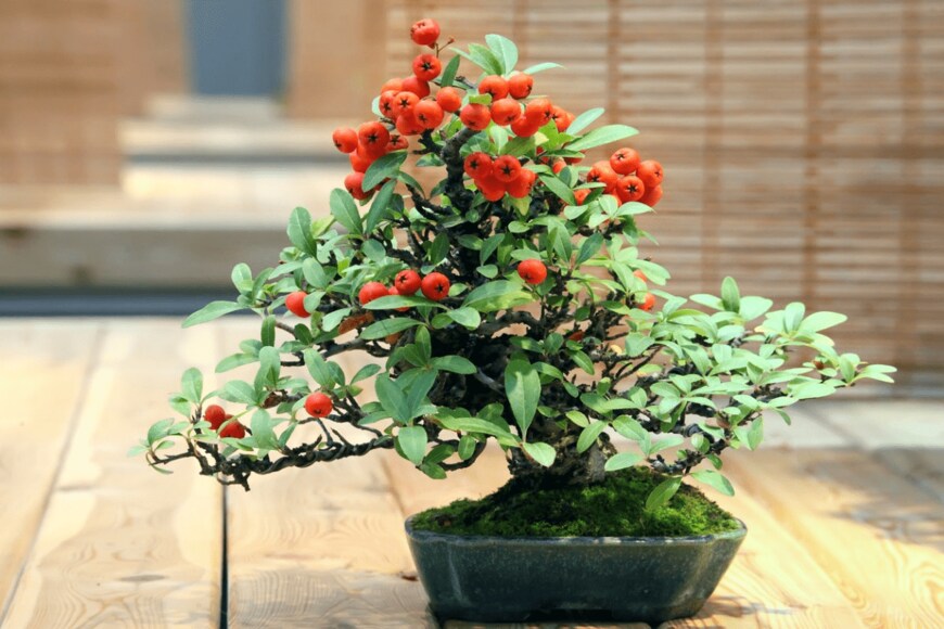 TatianaMironenko/istockphoto.com