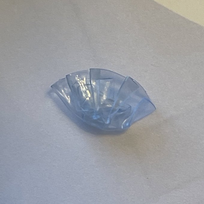 コンタクトレンズで作った餃子