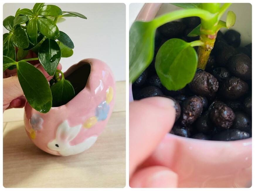 イースター陶器（エッグ）