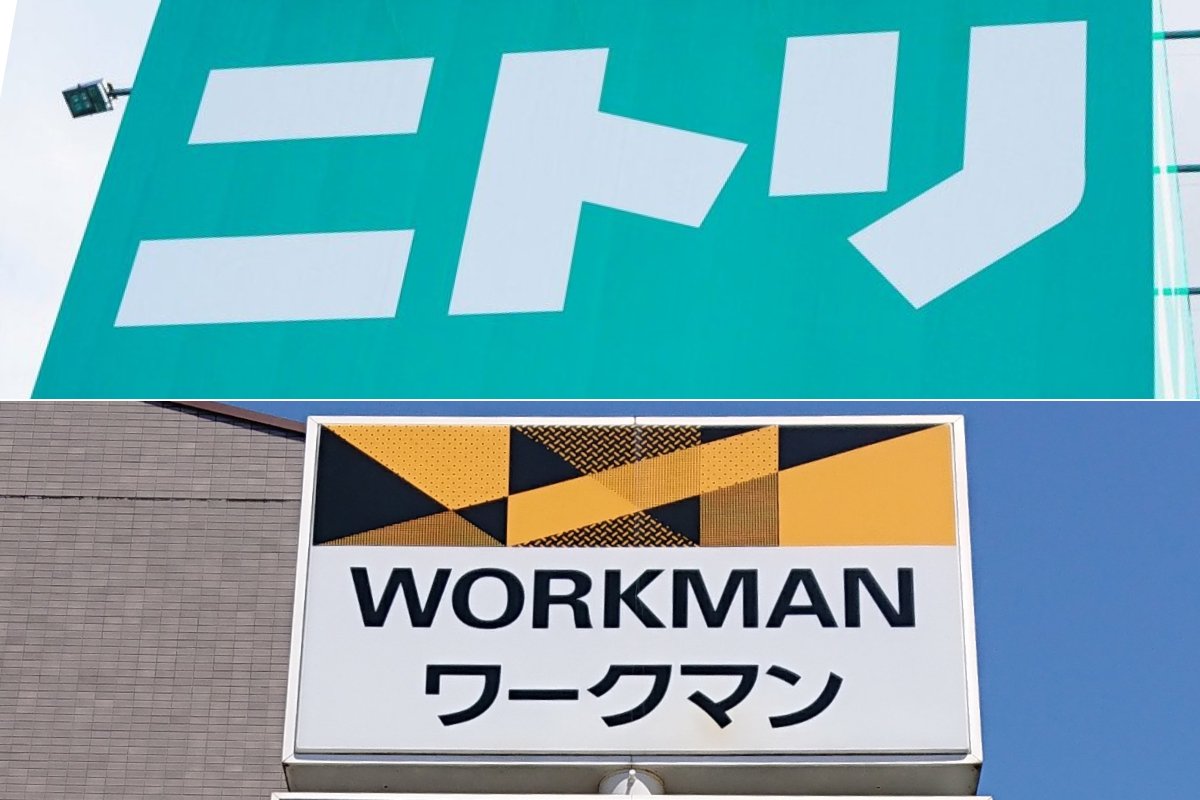 ワークマン・ニトリ【大容量×高性能】おすすめ〈使い捨て手袋〉3選