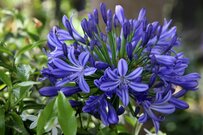 【夏のボーナス直前】20歳代未婚「貯蓄ゼロ」は珍しくない！今日から考えるライフプラン