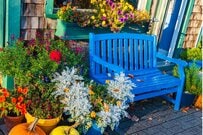 【ガーデニングあるある】ざんねんな庭に共通する5つの特徴