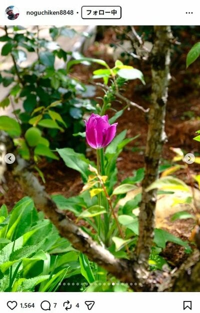 野口健のInstagram投稿