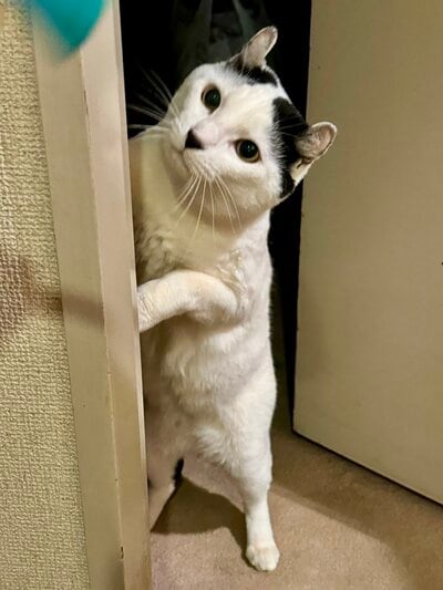 普段の様子