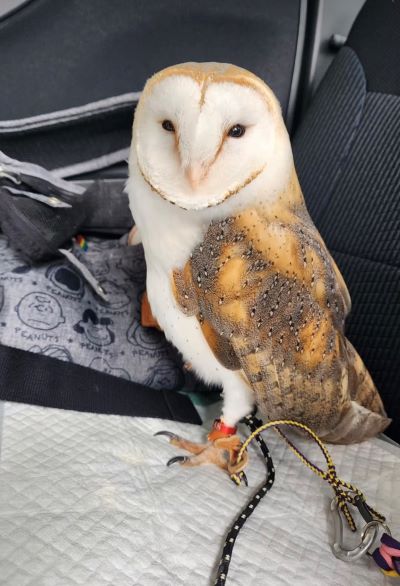 投稿動画のワンシーン