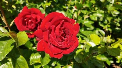 光浦靖子のYouTube動画のスクリーンショット