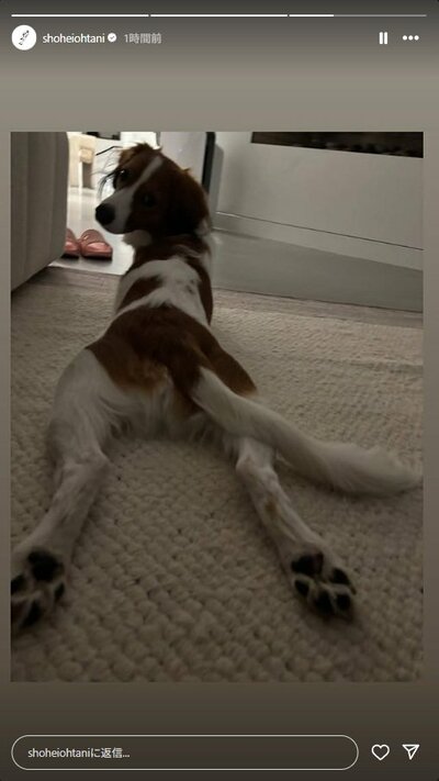 大谷翔平のInstagramストーリーズ投稿