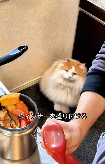 投稿動画のワンシーン