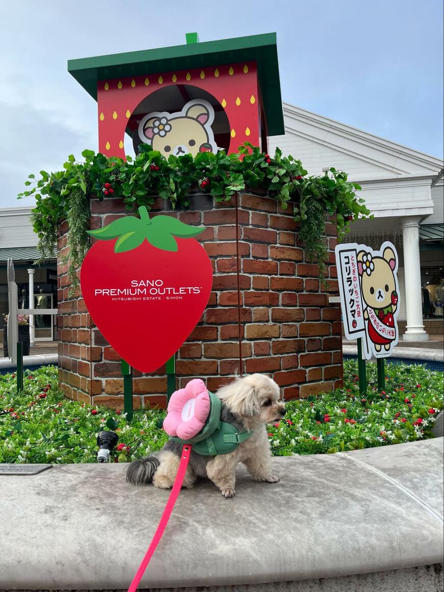 出所：@potage_0924