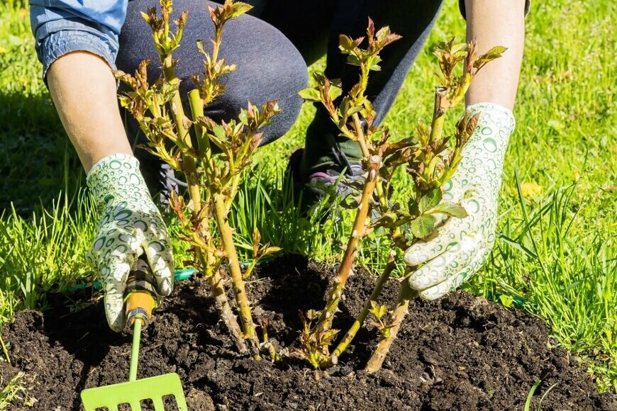 Ludmila Kapustkina/istockphoto.com