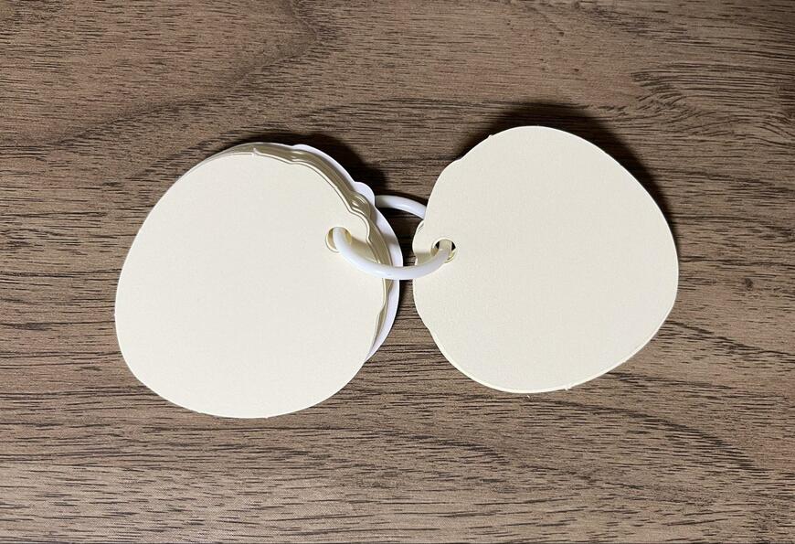 筆者撮影（キャンドゥ、単語帳 2P いちご）