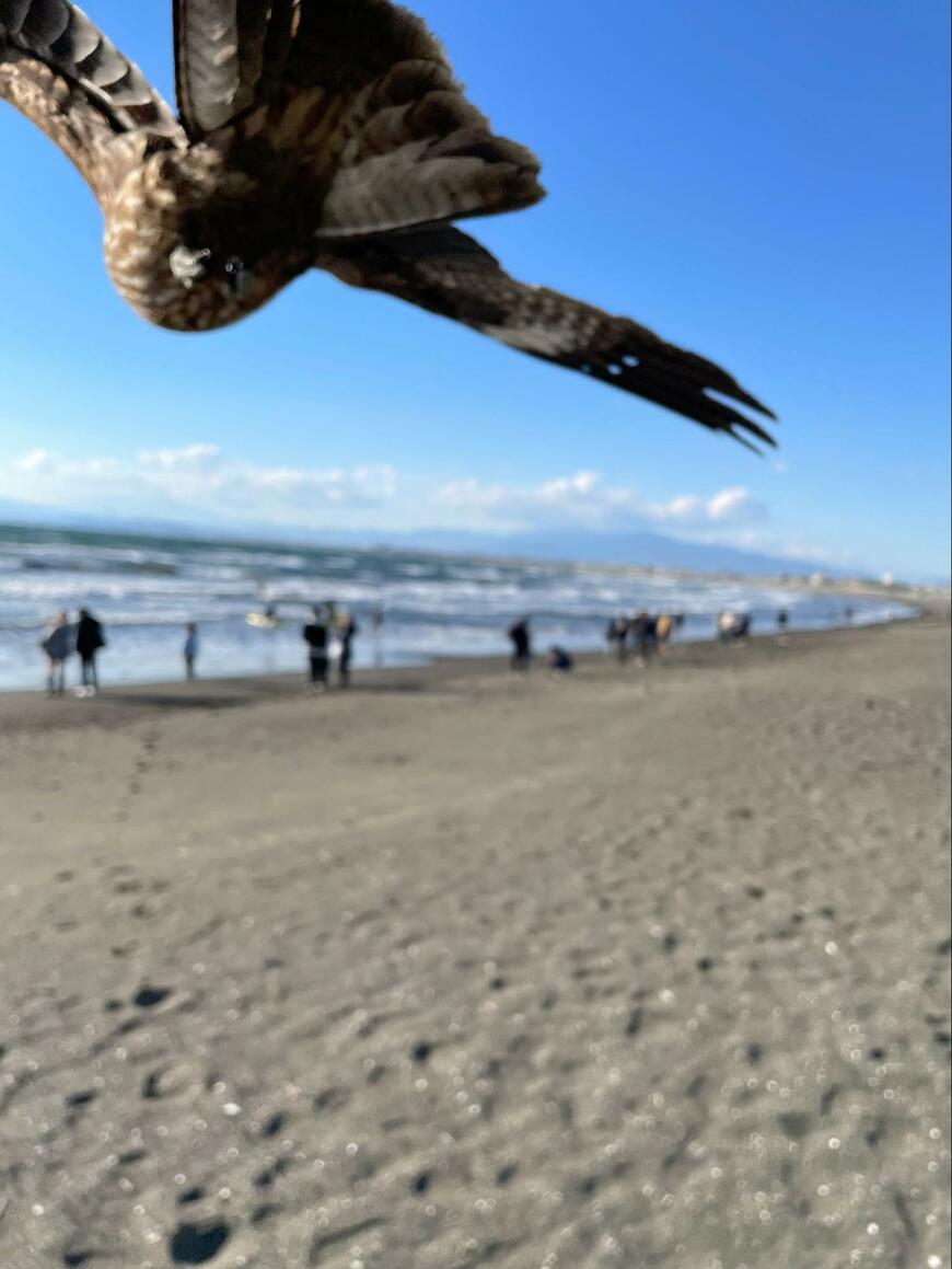 出所：Xユーザー