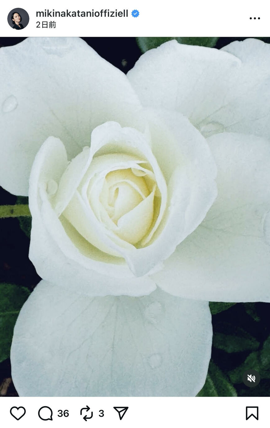 出所：中谷美紀のInstagram　参照日：2025年9月30日