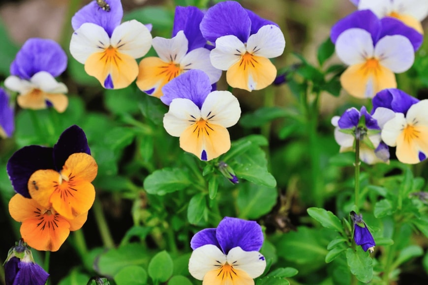 Nataliia_Melnychuk/istockphoto.com