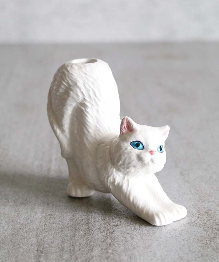 出所：ブルーブルーエ公式　ストレッチキャットベース