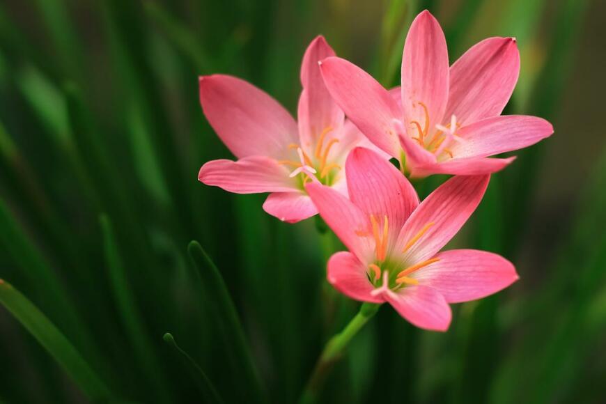 devmograph/shutterstock.com