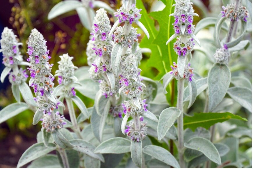 Pro2sound/istockphoto.com