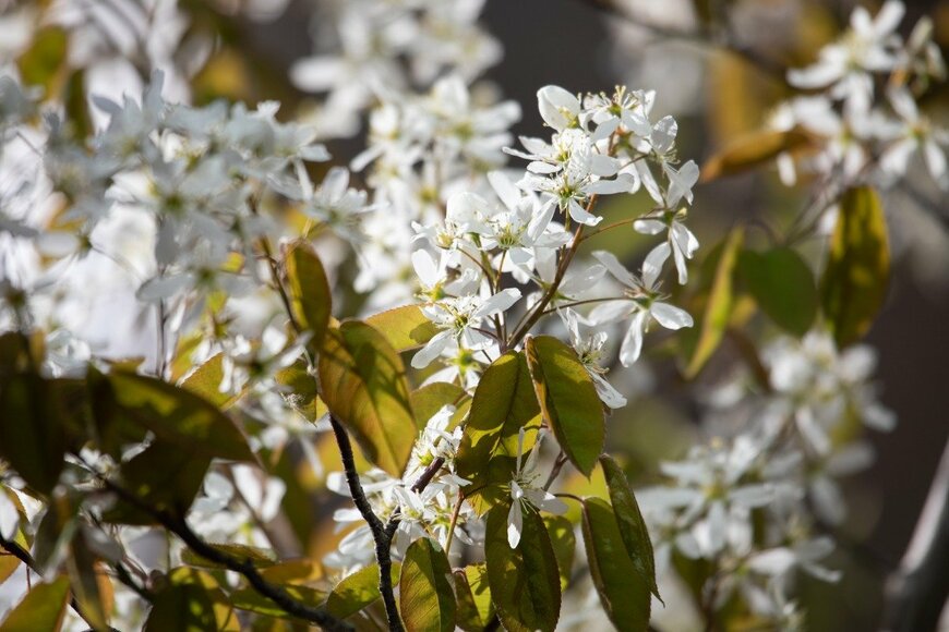 Birute/istockphoto.com