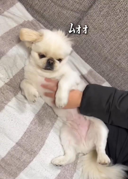 出所：@mucho_world