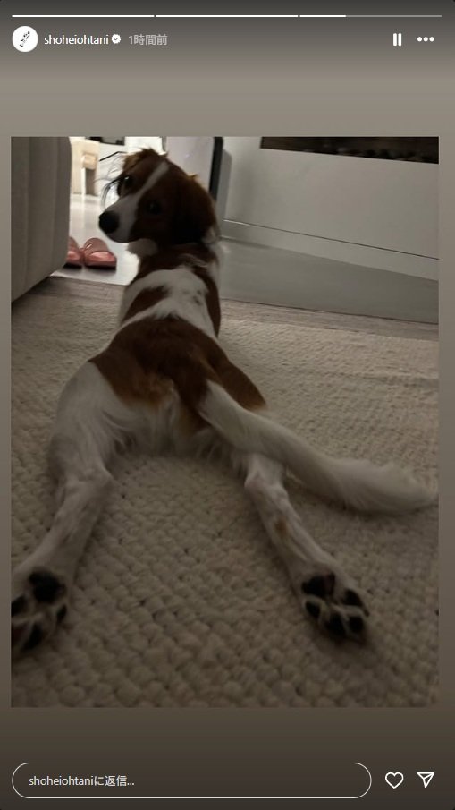 出所：大谷翔平のInstagram（＠shoheiohtani）参照日：2025年6月20日