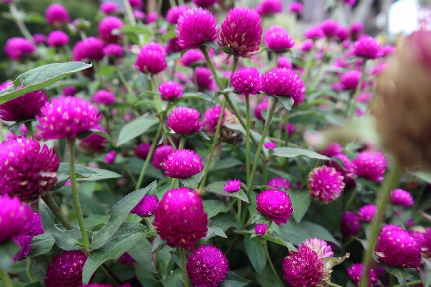 ian al amin/istockphoto.com