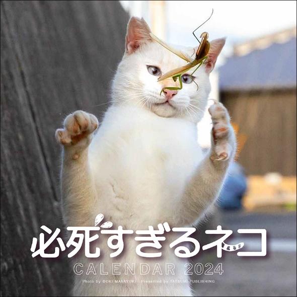 出所：辰巳出版株式会社『必死なネコがかわいすぎる 毎年人気の『必死すぎるネコカレンダー』が今年も発売』