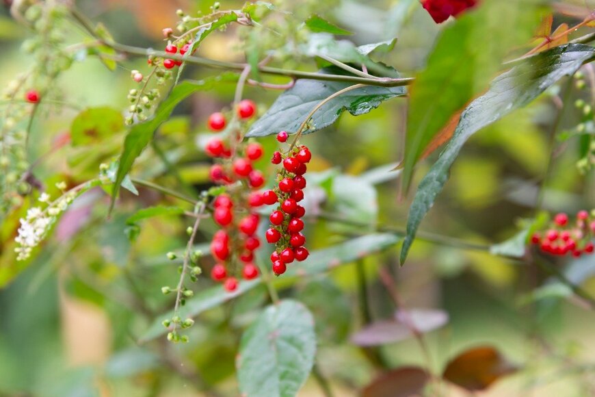 Khoblaun/istockphoto.com