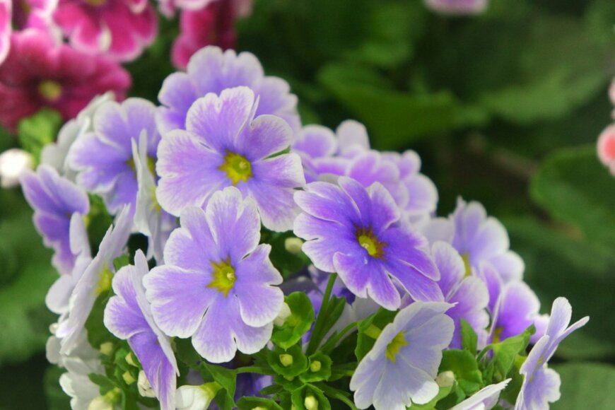 travelershigh/shutterstock.com