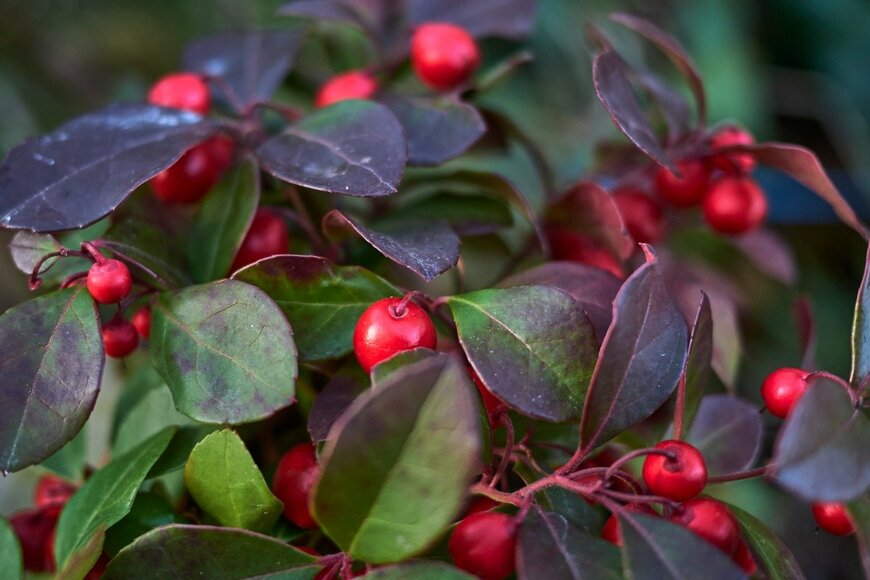 seven75/istockphoto.com