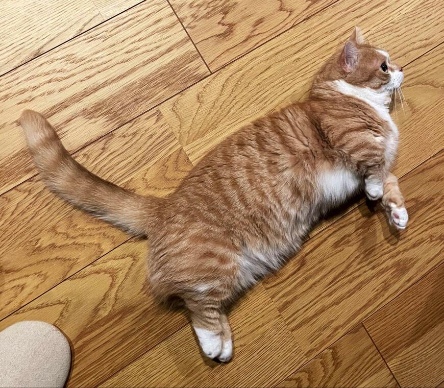 出所：@kotaro_0315