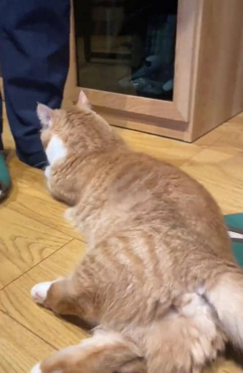 出所：@kotaro_0315