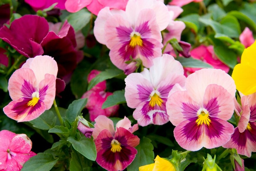 jcwait/istockphoto.com