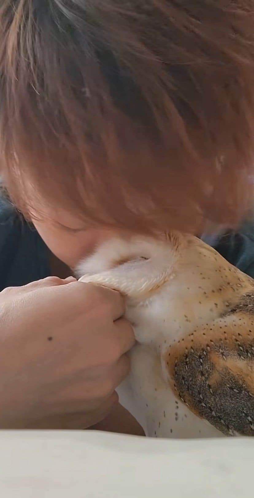 【吸われるフクロウ】とってもいいにおい！飼い主さんと相思相愛な姿と可愛い表情に癒される