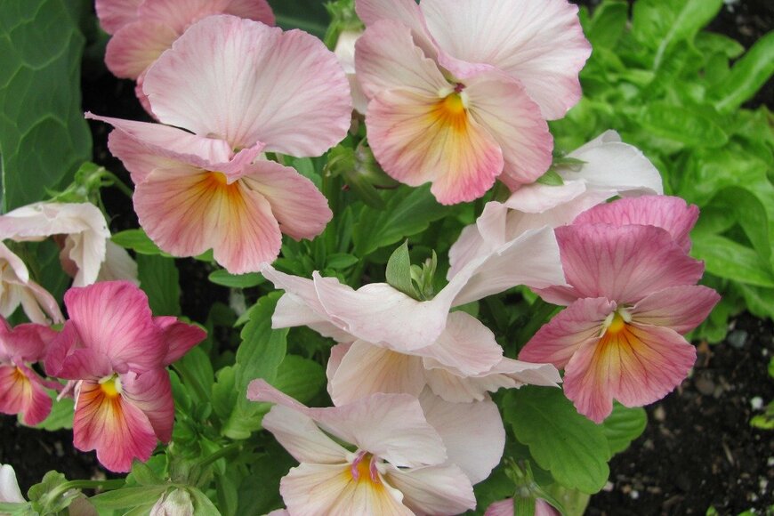 ErikaKirky/istockphoto.com