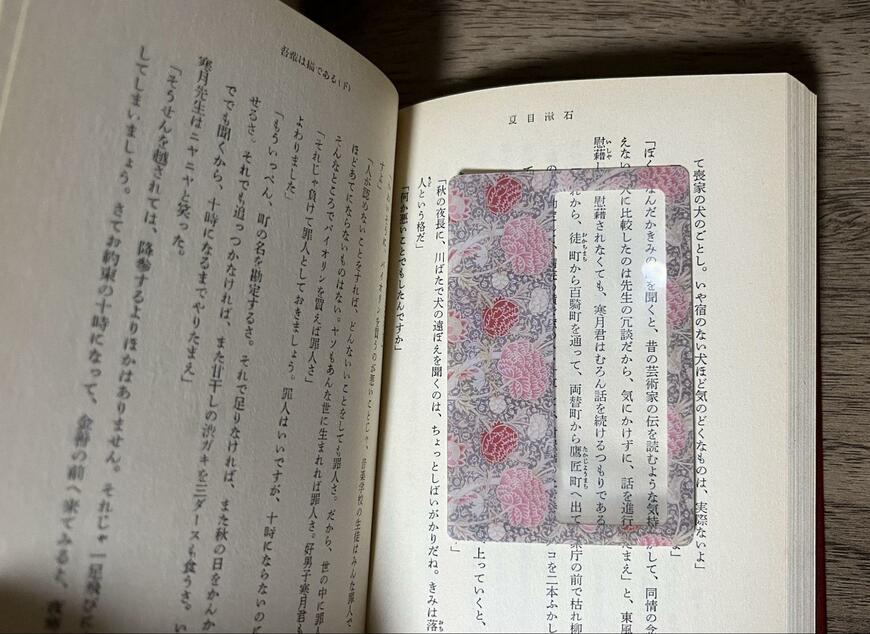 セリア、薄型ルーペ　マスターピースコレクション/ WM_ST＆CR写真