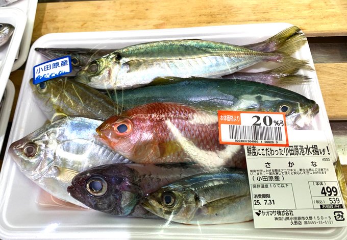 スーパーで売られていた魚