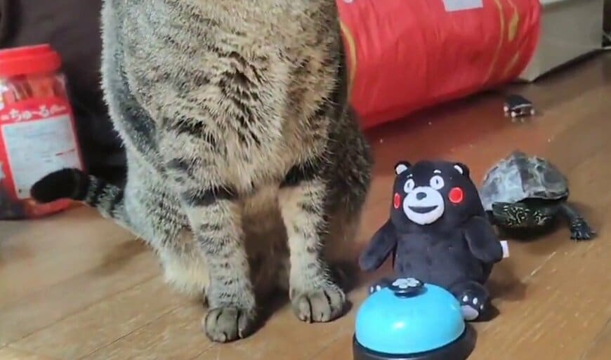 無事、小雪ちゃんの元にたどりつけた軍曹くん