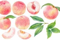 【リタイア後】65歳以上無職世帯「生活費・貯蓄額・厚生年金と国民年金月額」の平均！公的年金だけに頼るシニア世帯の割合とは