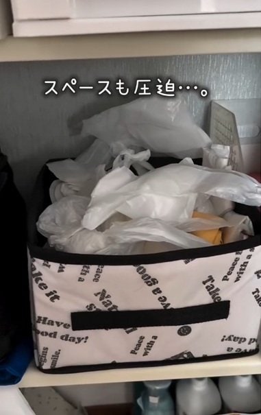 変身前のビニール袋