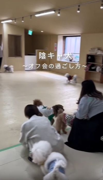 みんなが集まっています