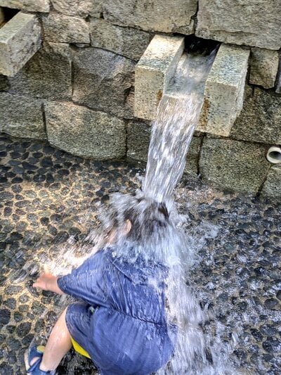 投稿の画像